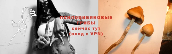 наркотики Бородино