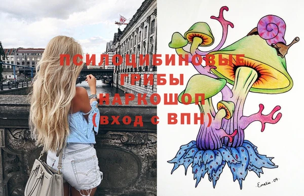 mdpv Каменск-Шахтинский