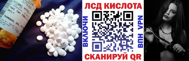 Купить где  Бакал  LSD-25 экстази ecstasy 