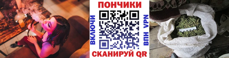Каннабис гибрид  Купить закладки  Бакал 